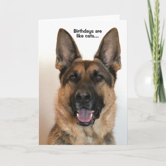 Funny German Shepherd Birthday Card (Front)