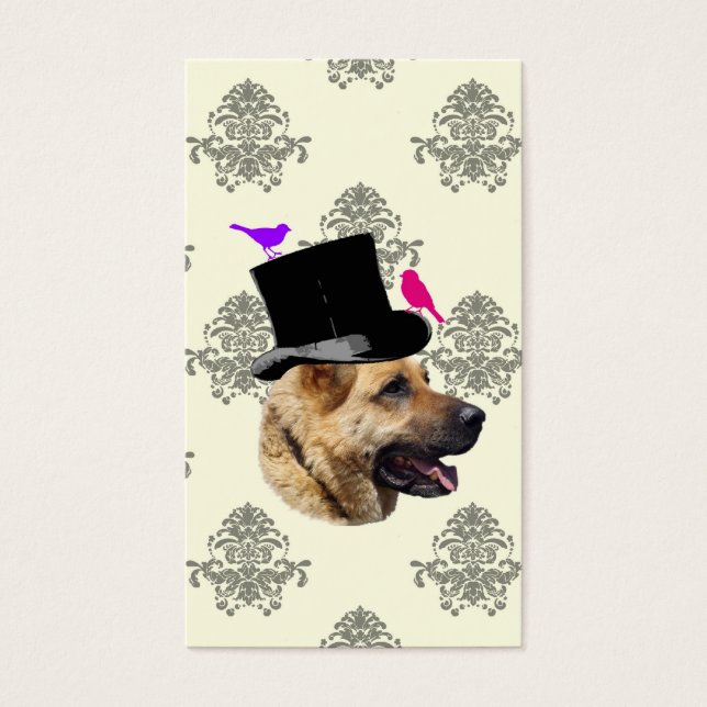 Funny German shepherd dog (Front)