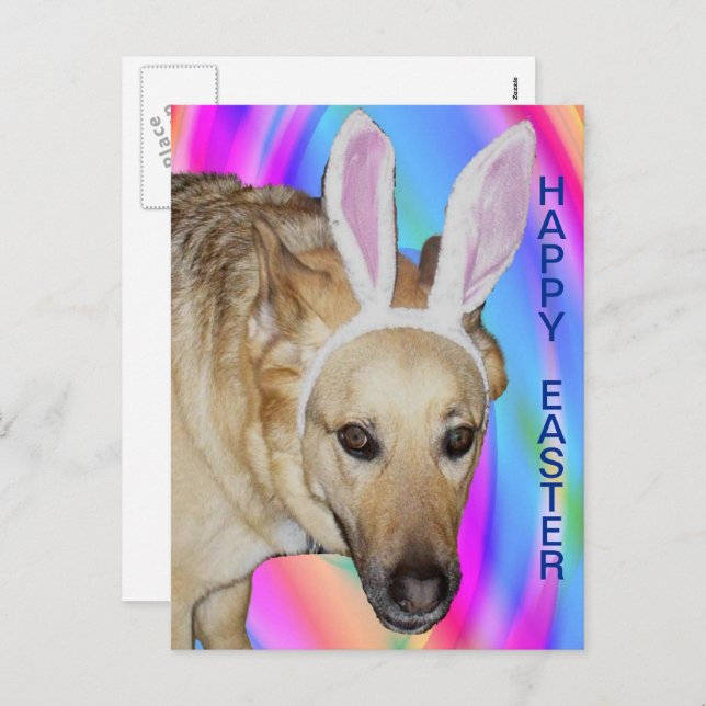 Funny German Shepherd Dog & Easter Bunny Ears Holiday Postcard (Front/Back)