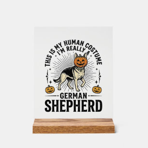 Funny German Shepherd Halloween Costume Dog Design Acrylic Sign