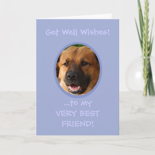 Funny Get Well From Dog Custom Photo Card (Front)