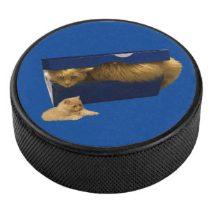 Funny Ginger Cat In A Shoe Box, Hockey Puck