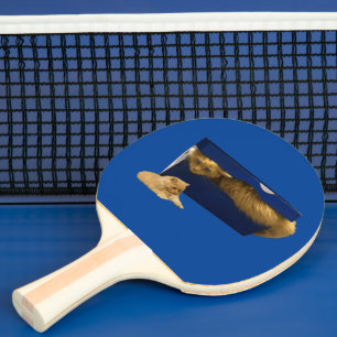 Funny Ginger Cat In A Shoe Box, Ping Pong Paddle