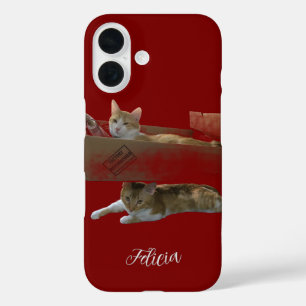 Funny Ginger Cats , Customisable Image And Photo iPhone 16 Case