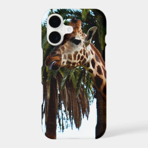 Funny Giraffe Giving A Raspberry,