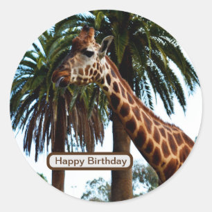 Funny Giraffe Giving A Raspberry, Classic Round Sticker