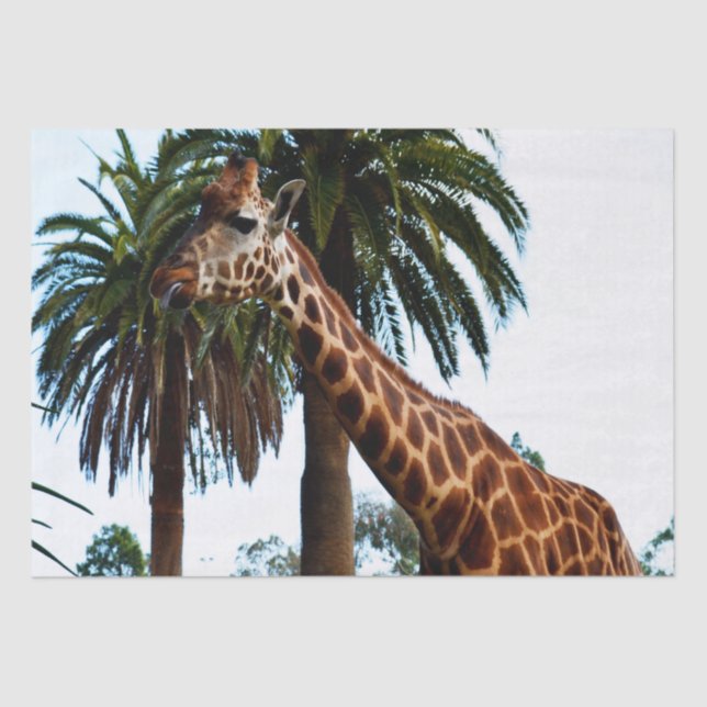 Funny Giraffe Giving A Raspberry, Tissue Paper (Front)