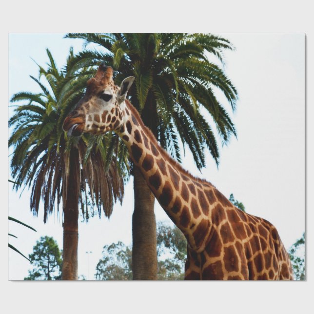Funny Giraffe Giving A Raspberry, Wrapping Paper (Flat)