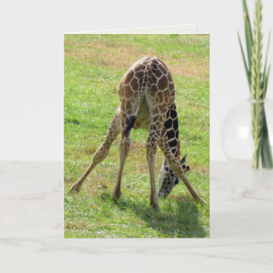 Funny Giraffe Greeting Card (blank inside)