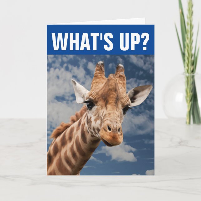 FUNNY GIRAFFE GREETING CARD TO SAY HELLO (Front)