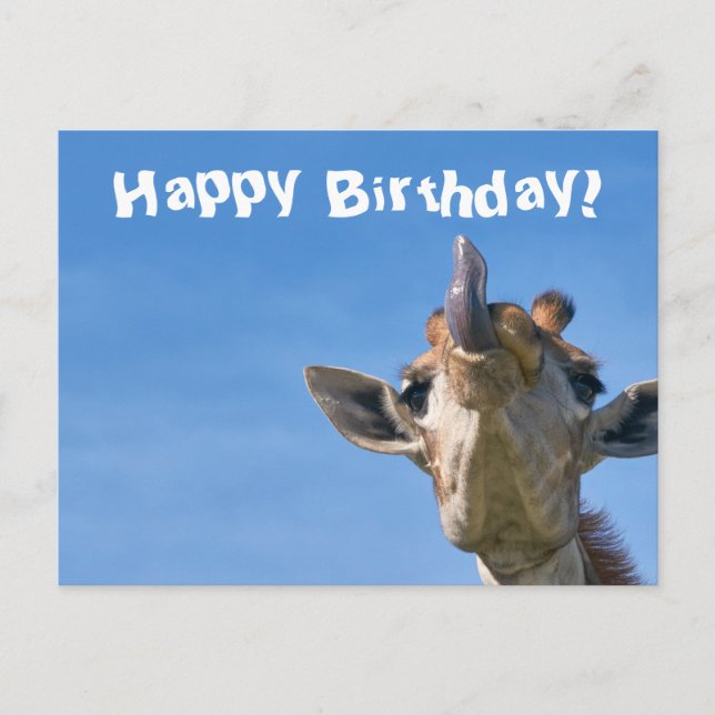 Funny Giraffe Happy Birthday Postcard (Front)