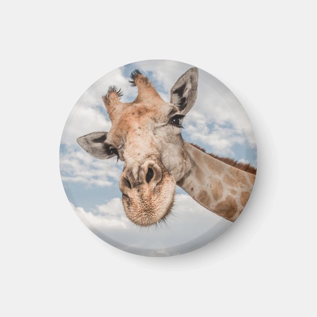 Funny Giraffe Magnet (Front)