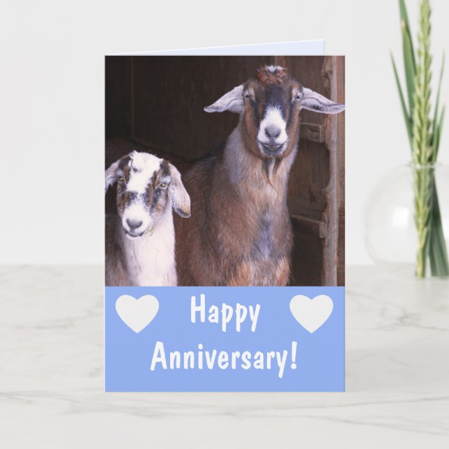 Funny Goat Anniversary Card (Front)