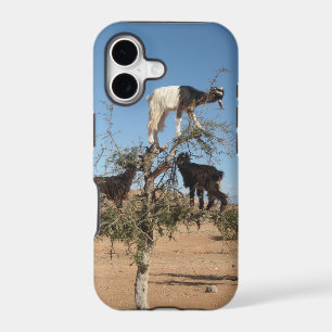 Funny goats in a tree