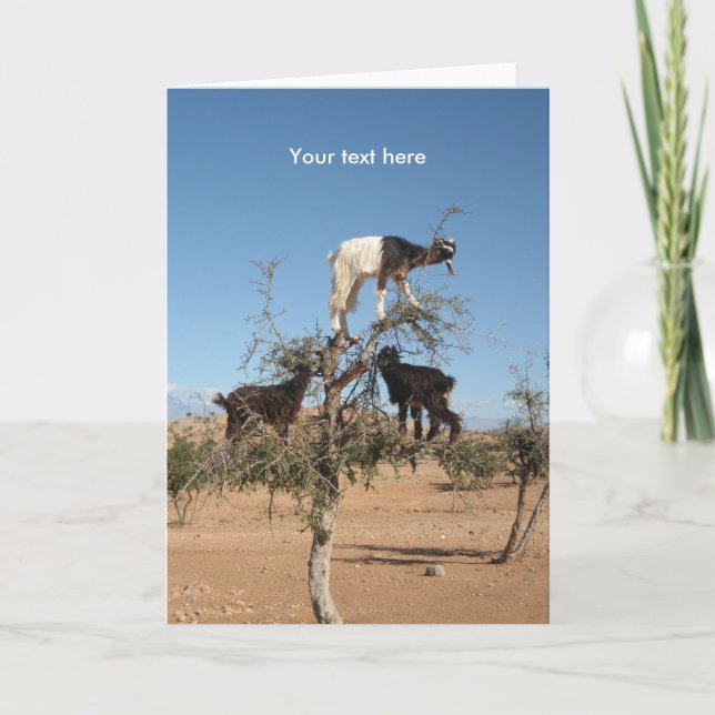 Funny goats in a tree holiday card (Front)