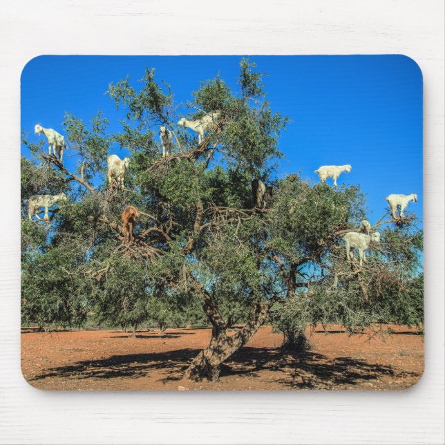 Funny Goats in Trees Morocco Mouse Pad (Front)