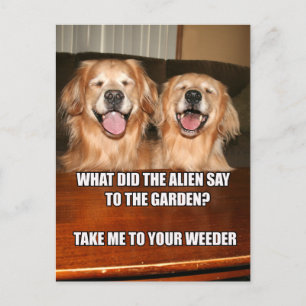 Funny Golden Retriever Alien Joke Meme Postcard