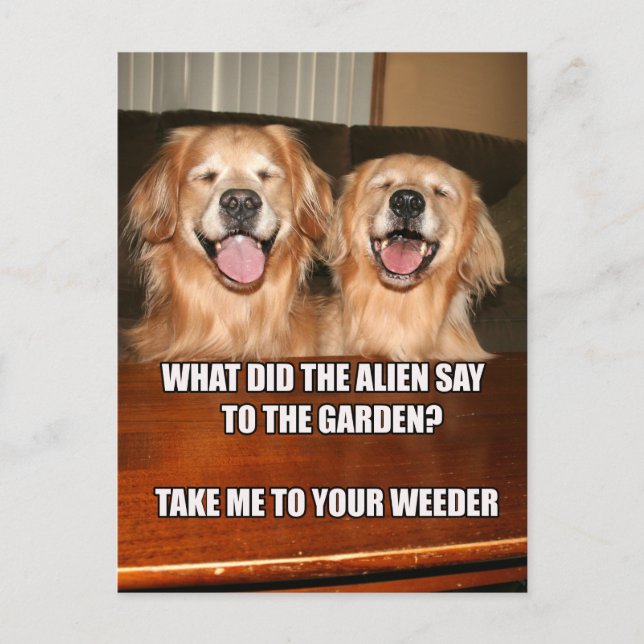 Funny Golden Retriever Alien Joke Meme Postcard (Front)