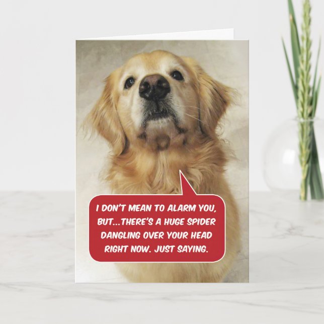 Funny Golden Retriever Arachnophobia- Birthday Card (Front)