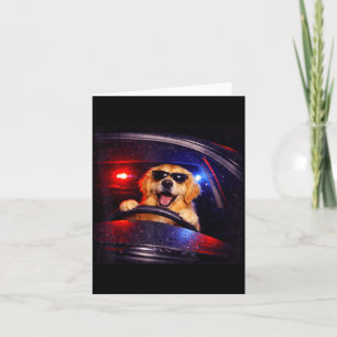 Funny golden retriever driving meme dog driving a card