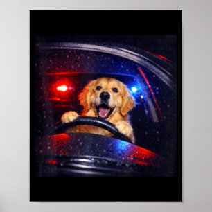 Funny golden retriever driving meme dog driving a poster