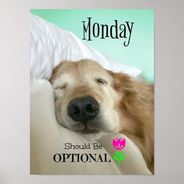 Funny Golden Retriever Monday Should be Optional Poster (Front)