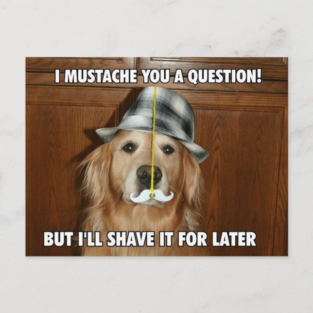 Funny Golden Retriever Moustache You a Question Postcard (Front)