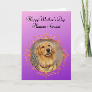 Funny Golden Retriever Superior Being Mother's Day Card