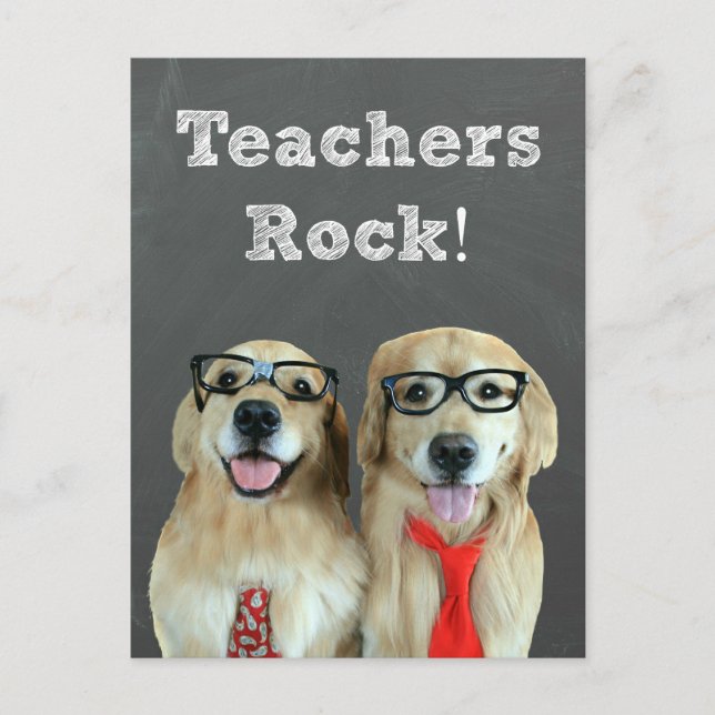 Funny Golden Retriever Teacher Appreciation Postcard (Front)