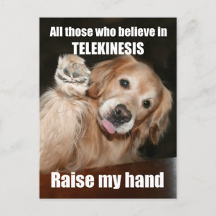 Funny Golden Retriever Telekinesis Joke Postcard