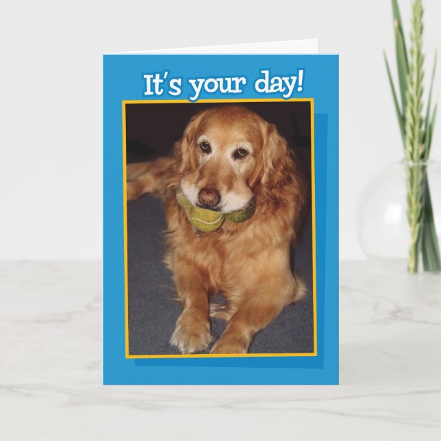 Funny Golden Retriever with Balls  Birthday Card (Front)