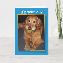 Funny Golden Retriever with Balls Birthday Card