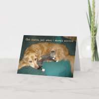Funny Golden Retriever with Kitten Birthday