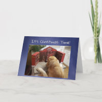 Funny Golden Retriever with Treats Advent Calendar