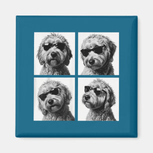Funny Goldendoodle Meme Cute Doodle Photo Booth  Magnet