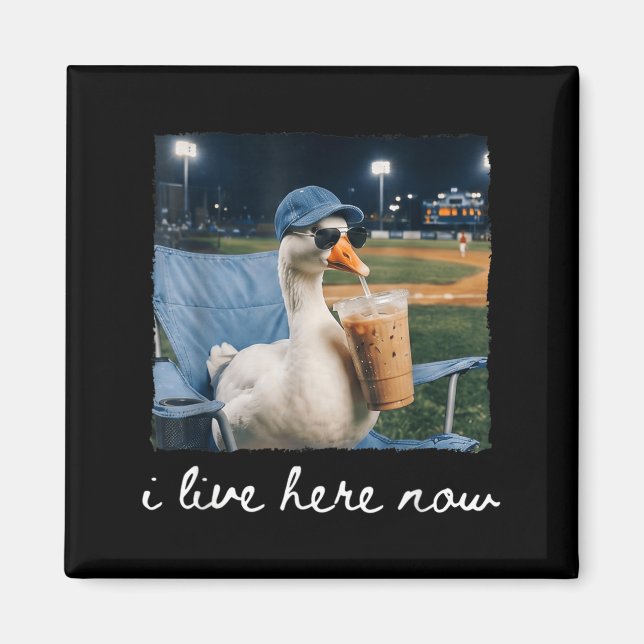 Funny Goose Duck Live Here Baseball Ballfield Meme Magnet (Front)