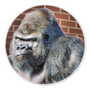 FUNNY GORILLA CERAMIC KNOB