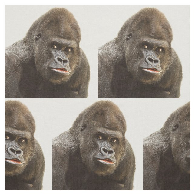 Funny Gorilla fabric (Swatch)