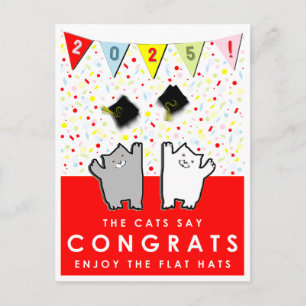 Funny Graduation Cats 2025 Postcard