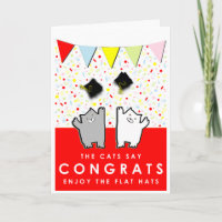 funny graduation cats