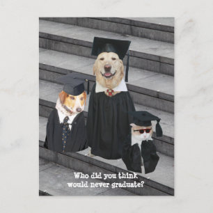 Funny Graduation Customisable Announcement Postcar Postcard