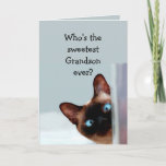 Funny Grandson Birthday Wishes Siamese Cat Card<br><div class="desc">Funny Grandson Birthday Wishes Siamese Cat Animal Humour you up.   Perfect for that Grandson in your life with a sense of humour,  a love of cats and a birthday</div>