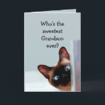 Funny Grandson Birthday Wishes Siamese Cat Card<br><div class="desc">Funny Grandson Birthday Wishes Siamese Cat Animal Humour you up.   Perfect for that Grandson in your life with a sense of humour,  a love of cats and a birthday</div>