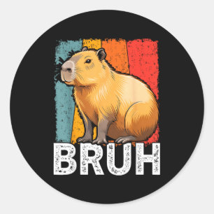 Funny graphic meme capybara bruh for boys girls me classic round sticker