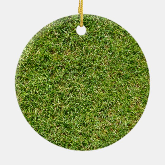 Funny Green Grass Lawn Ceramic Tree Decoration (Back)