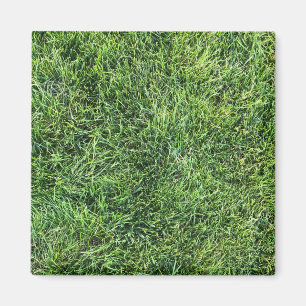 Funny green grass real photo texture pattern fun magnet