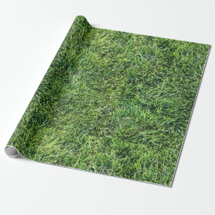Funny green grass real texture pattern photo cool wrapping paper