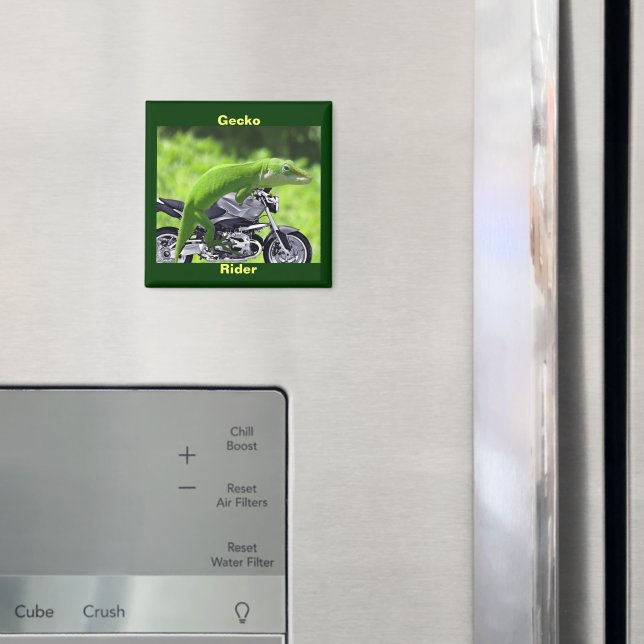Funny Green Hawaiian Gecko Rider Magnet (In Situ (Fridge))