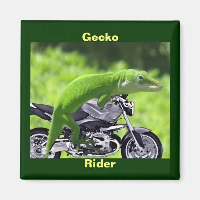 Funny Green Hawaiian Gecko Rider Magnet (Front)