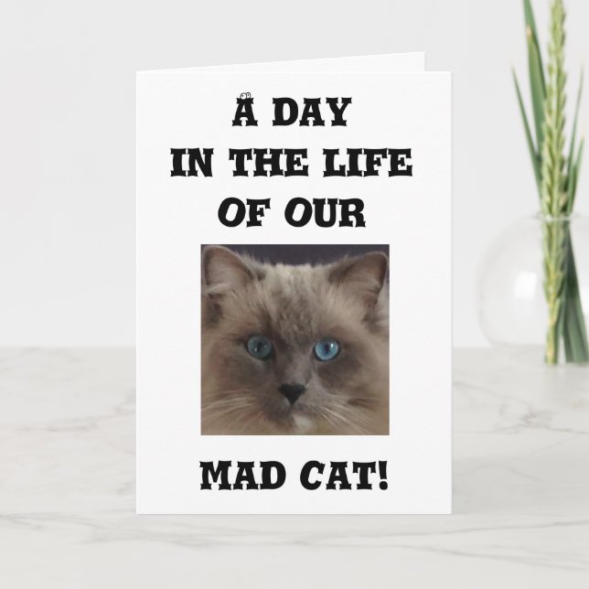 Funny Greeting Card (Front)